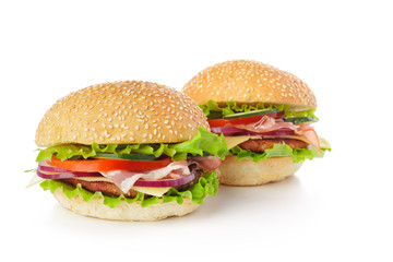 burger on white background