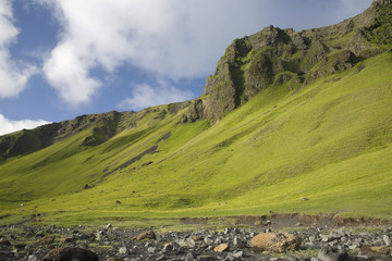 Fototapeta premium Reynisfjara, Island