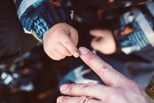 Child and parent studying insect