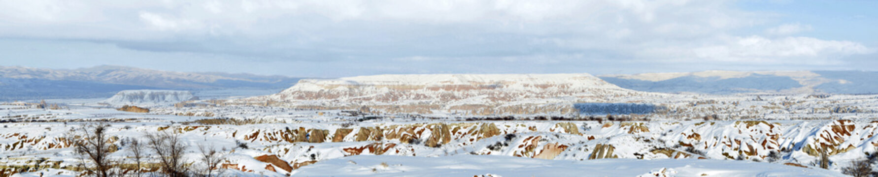 Panaromic view in winter