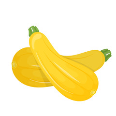 Vegetable Marrow Courgette Or Zucchini Isolated On A White Background.