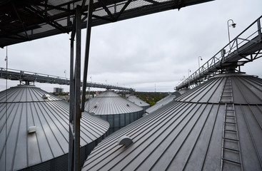 Fototapeta premium Modern grain terminal. Metal tanks of elevator. Grain-drying complex construction. Commercial grain or seed silos at seaport. Steel storage for agricultural harvest.