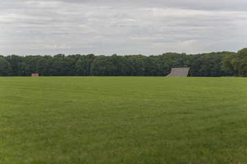 Fototapeta na wymiar Characteristic half-open farmlands in the Netherlands.