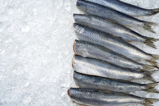 Raw herring without heads on ice offered as top view