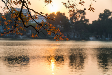 Young red Buds on the branches at the lake