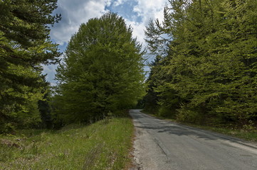 Fototapeta na wymiar View of springtime nature with green glade, deciduous. forest and road, Plana mountain, Bulgaria 