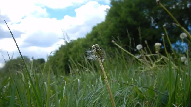 Shower head. wind. Wind blowing. Fragile