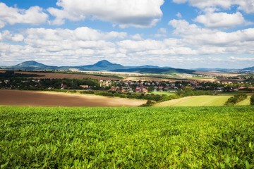 green field and blue sky with light clouds