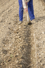 Hortelano trabajando en el campo