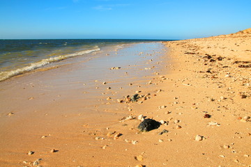 Fototapeta na wymiar Endless Australian sunny beaches