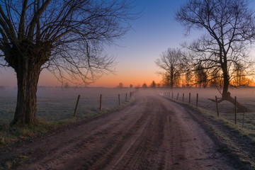 Wiejska droga o poranku