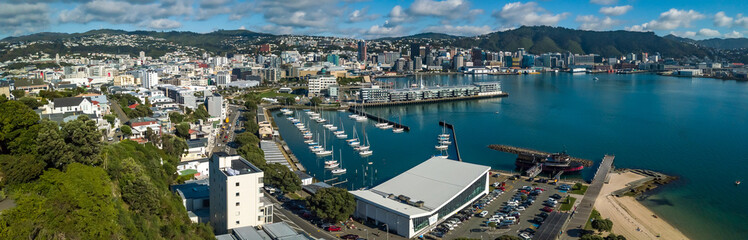 Wellington Marina And Oriental Bay Panorama 
