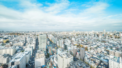 Asia business concept for real estate and corporate construction - panoramic modern city skyline aerial view of bunkyo under blue sky and cloud, tokyo, Japan