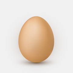 Realistic brown egg with shadow on white background