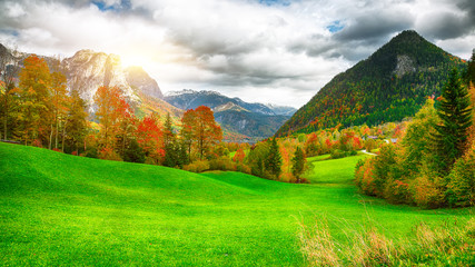 Alpine meadows at autumn near Grundlsee lake.