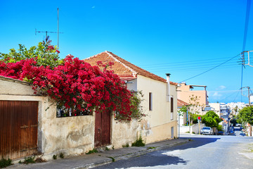 Fototapeta na wymiar view of the Street sidewalk, old stone fence, gate and beautiful flowering tree. Chania, Crete, Greece