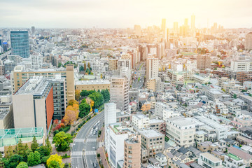 Asia business concept for real estate and corporate construction - panoramic modern city skyline aerial view of bunkyo under gray sky and cloud, tokyo, Japan