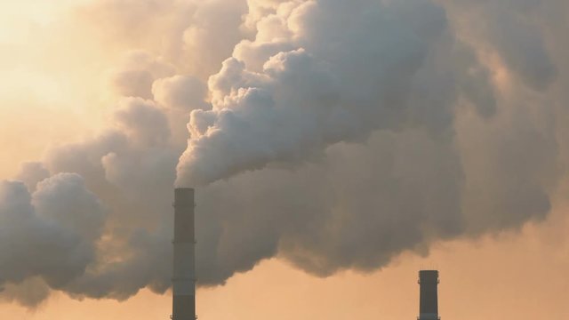 plant emits harmful smoke