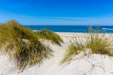 Aerial view of beach and sand dunes at sunset in Murtosa, Aveiro - Portugal. Aerial view.