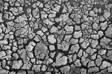 Dry soil surface And broke a plate, For texture and background.