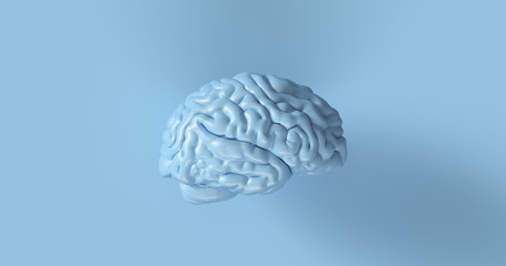 Blue Human brain Anatomical Model 3d illustration	