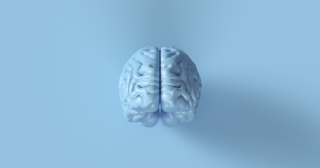 Blue Human brain Anatomical Model 3d illustration	