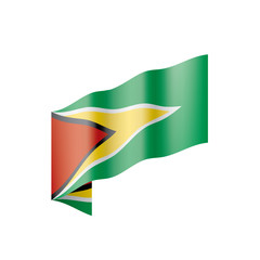 Guyana flag, vector illustration