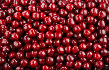 Cherry background. Cherries.