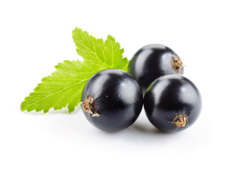 Black currant isolated. Currant with leaf on white background.