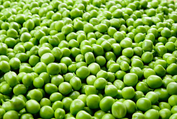 Peas. Green background. Green peas background.