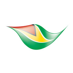 Guyana flag, vector illustration