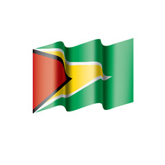 Guyana flag, vector illustration