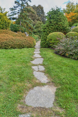 Stone path leading towards green bushes in trees in a botanic garden