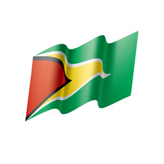 Guyana flag, vector illustration