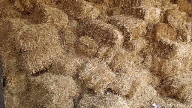 Large haystack in the barn on the farm. Haystacks in warehouse storage. Close-up of hay stacks. Agriculture warehouse. Haystacks in hangar.