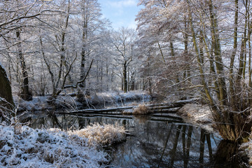 Waldbach im Winter
