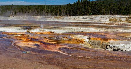 Old Faithful Geysir