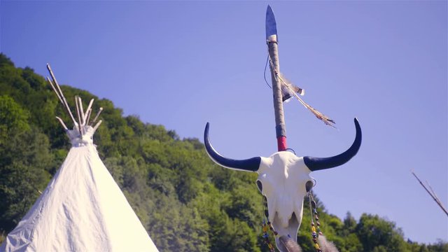 Buffalo skull with Indian tents 4K