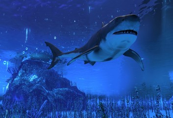 Great white shark swimming underwater 3d illustration