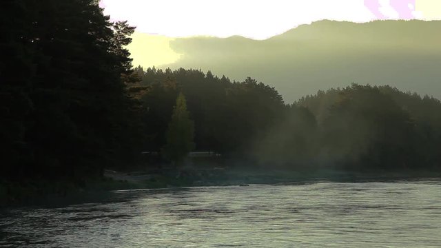 Fast cold river in Siberia. Foam and waves of fast flow. A dense forest of conifers on the shore. Video made on a journey in the evening in the rays of the setting sun.