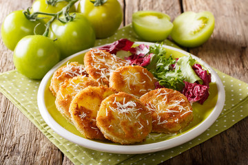 American food: fried green tomatoes with fresh salad close-up on a plate. horizontal
