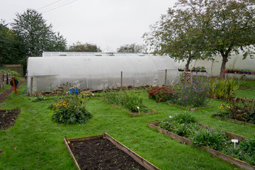 Polytunnel at the farm