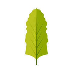 Beet leaf icon vector design illustration. Free royalty images.