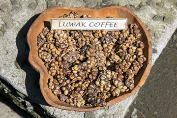 Luwak coffee the most expensive in the world