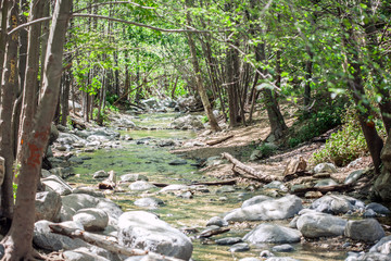 Eaton Canyon Stream running alongside Eaton Falls Trail Hike in Pasadena near Los Angeles, California