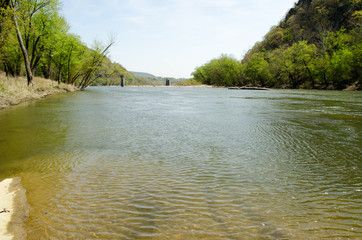 River flowing through trees