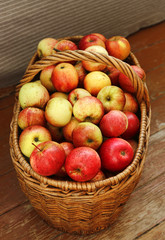 Bright tasty ripe apples in a basket