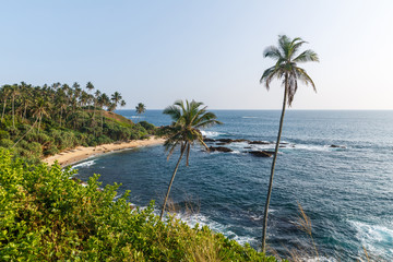 Beautiful scenic view of coastline with palm trees, sri lanka, mirissa