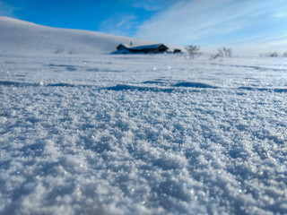 Macro shot of snow