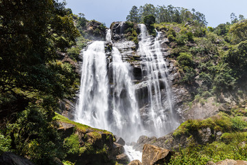 Fototapeta premium beautiful scenic view of green trees and waterfall, sri lanka, nuwara eliya